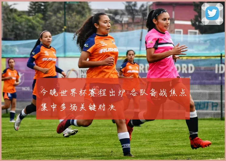 今晚世界杯赛程出炉 各队备战焦点集中多场关键对决