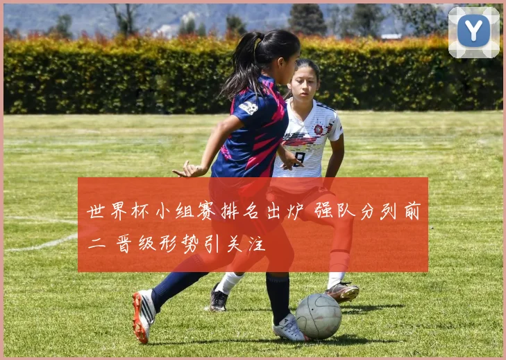 世界杯小组赛排名出炉 强队分列前二 晋级形势引关注