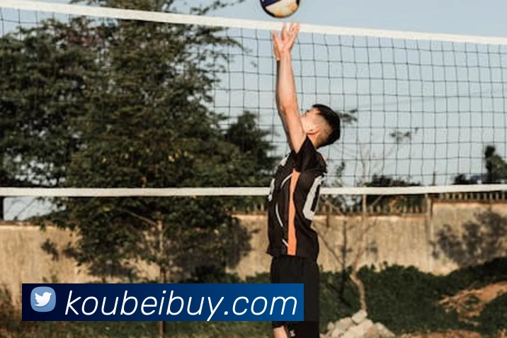 beat365唯一官网平台生态图